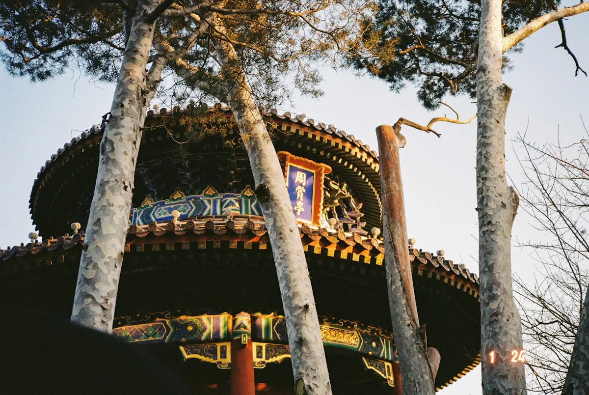Traditional Chinese temple roof with trees in foreground at a Beijing cultural site