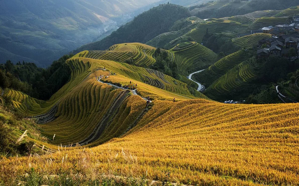 Longji Rice Terraces with water-filled paddies cascading down the mountainside