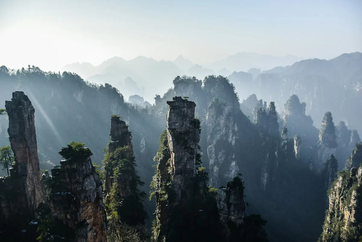 Forêt de piliers de grès quartzite au lever du soleil, brume remplissant la vallée dans le parc forestier national de Zhangjiajie