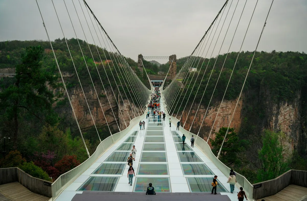 Visitors walking across the transparent deck of the cable-stayed glass bridge at Zhangjiajie Grand Canyon, canyon walls and forest on both sides