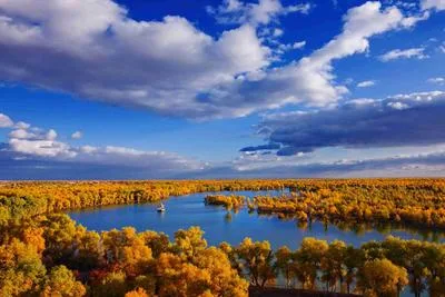 Xinjiang grasslands with yurts and snow-capped mountains