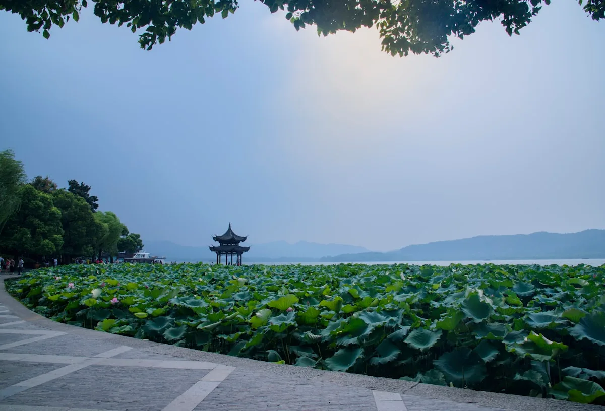 El lago del Oeste en Hangzhou, con hojas de loto en primer plano y un pabellón y colinas al otro lado del agua