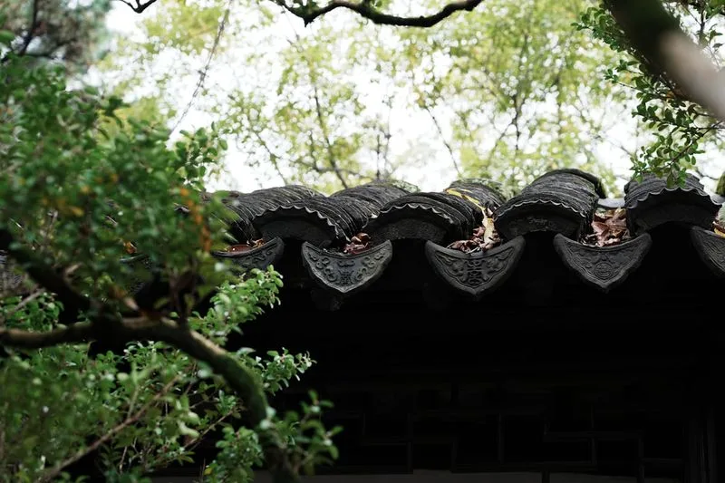 留园花窗框景：透过八角窗看到远处的假山和亭台