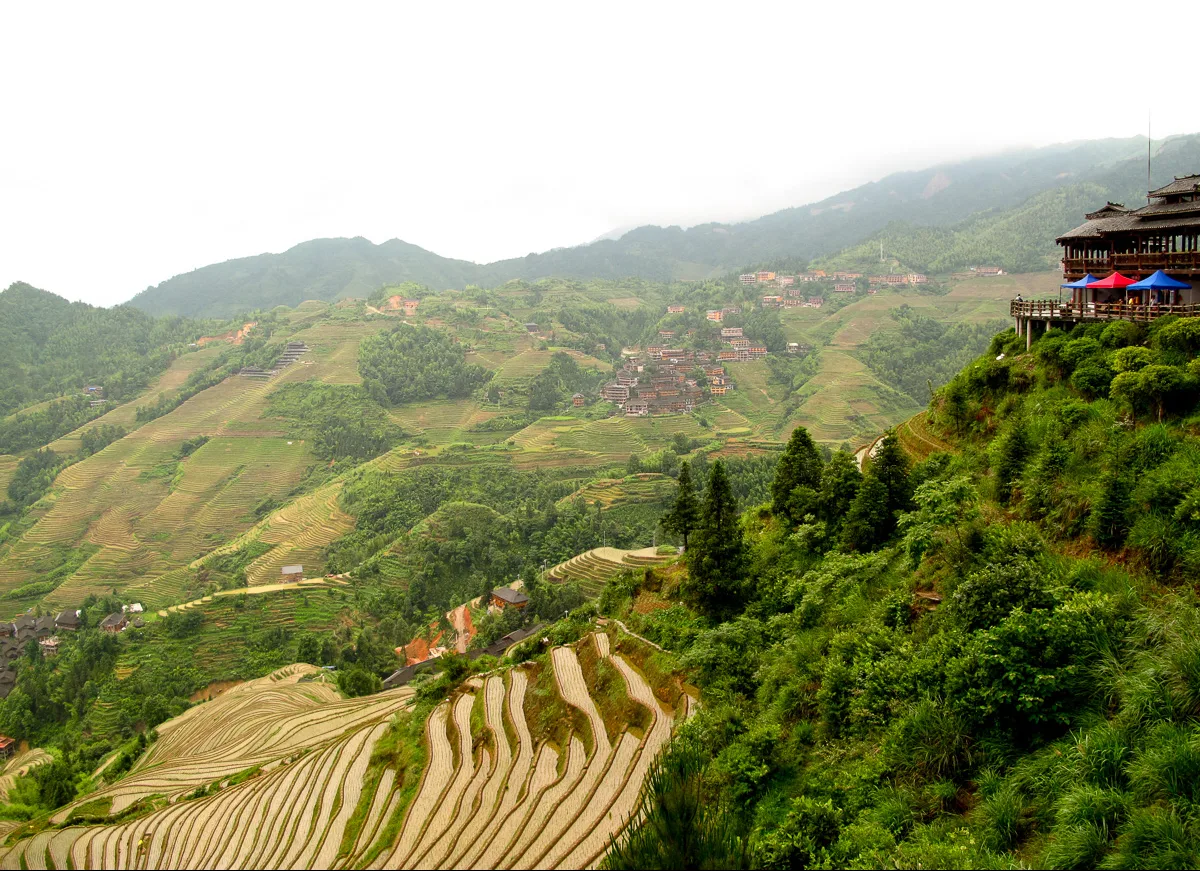 Un large panorama des rizières de Longji depuis un poste d'observation sur pilotis, avec les terrasses étagées à flanc de vallée (Photo : Rutger van der Maar via Wikimedia Commons)