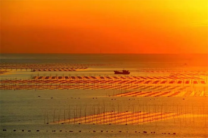 xiapu beiqi mudflat sunrise