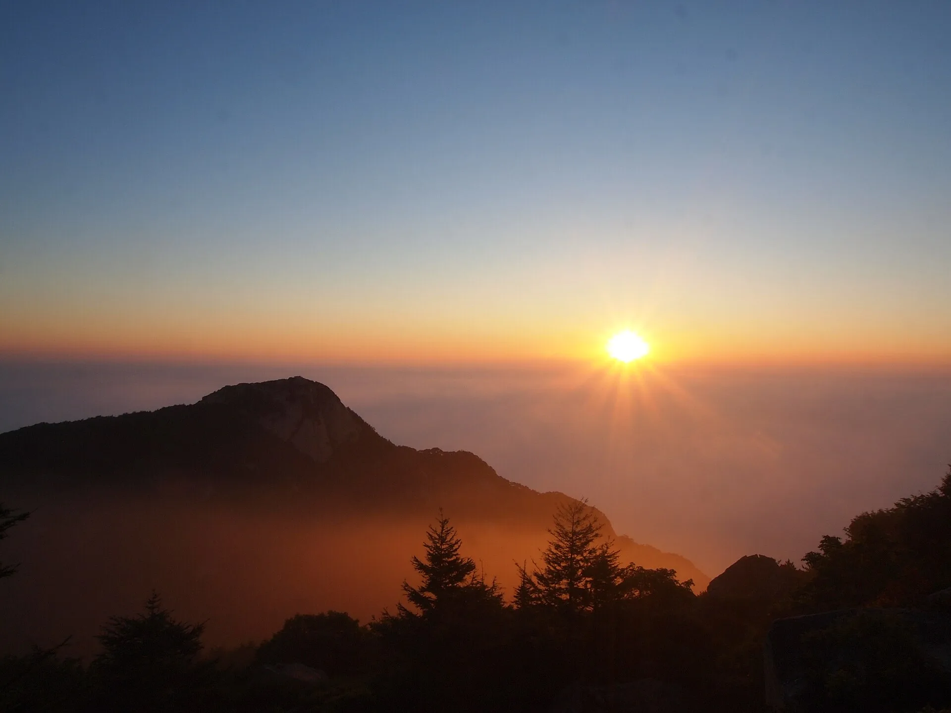 The sun rising over a thick sea of clouds on Mount Tai, with a dark peak and pine trees in silhouette in the foreground (Photo: rheins via Wikimedia Commons)
