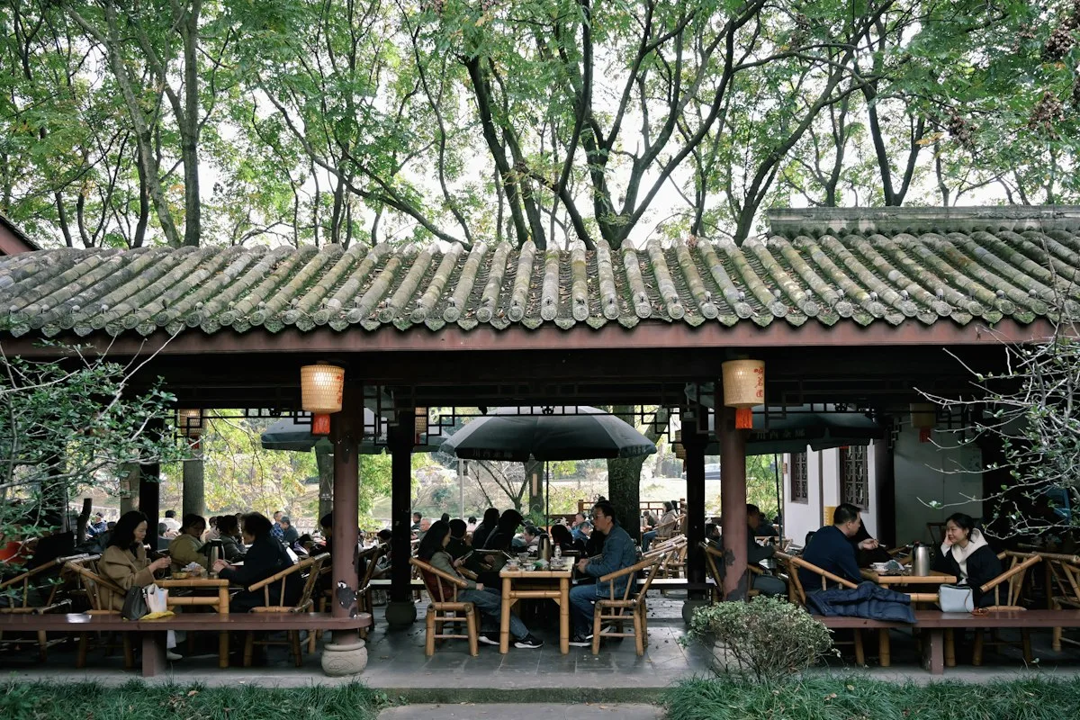 People sitting under a traditional Chinese pavilion drinking tea, with trees and a tiled roof behind