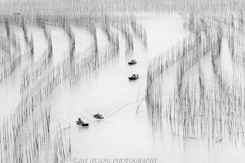 Xiapu S-bend — fishing boats lined up in a curving channel through tiger-striped mudflats, bamboo poles stretching to the horizon