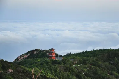 A red-walled pavilion on a forested summit ridge above a thick sea of clouds on Mount Tai