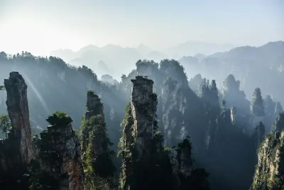 Quartz-sandstone pillar forest at sunrise, mist filling the valley in Zhangjiajie National Forest Park